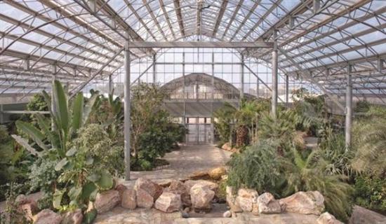 Bayan Botanical Garden